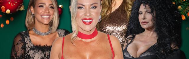 IRVASI, LAMPICE, DEDA MRAZOVI, JELKE OD 2 METRA: Domovi poznatih u prazničnom ruhu izgledaju nestvarno, ovakvo novogodišnje drvo još niste videli (FOTO)