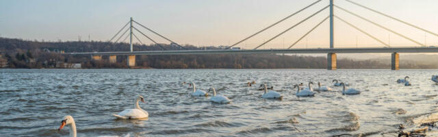 ​Сутра ујутро ведро и уз слаб мраз