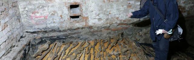 U temelju skriven ARSENAL ORUŽJA: Arheolozi u Blih ulici 1 pronašli artefakte iz oba svetska rata