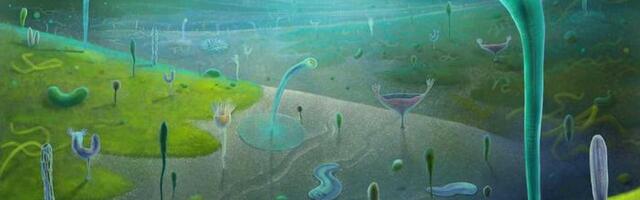 Spektakularno nalazište fosila pomera poreklo složenih životinja dalje u prošlost