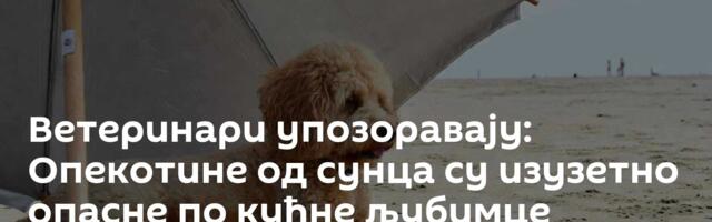 Ветеринари упозоравају: Опекотине од сунца су изузетно опасне по кућне љубимце