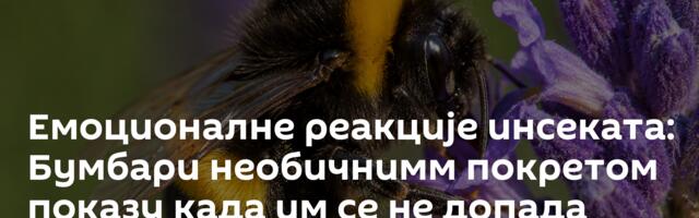 Емоционалне реакције инсеката: Бумбари необичнимм покретом показу када им се не допада храна