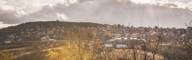 Jedan knežević i sloboda sviju – Petar Karađorđević i Džon Stjuart Mil