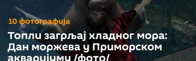 Топли загрљај хладног мора: Дан моржева у Приморском акваријуму /фото/