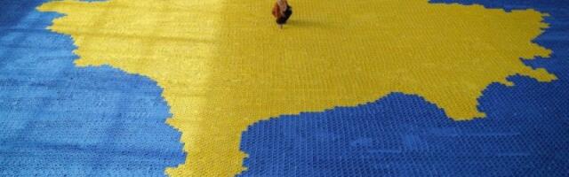 Maljići: Moguće pojačavanje trenda priznanja Kosova od islamskih zemalja