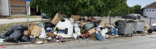 DEPONIJA u Malim Pčelicama: Kontejneri prazni, a oko njih smeće na sve strane (VIDEO)