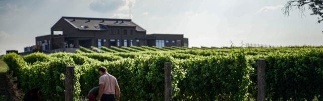 Posete srpskim vinarijama kao rastući trend