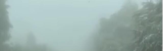 Najstrašniji snimak iz auta u Srbiji! Da se SLEDIŠ! Ovaj vozač je hrabar i pribran, snalazi se za medalju