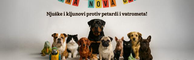 Eksplozije traju minut, trauma mnogo duže: Građani pozvani da potpišu peticiju za zabranu petardi i vatrometa