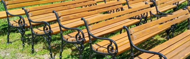 Opština Bečej odbija donaciju 42 parkovske klupe koje su želeli da joj poklone građani