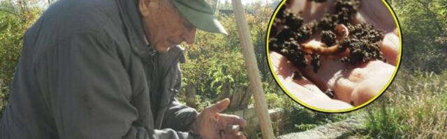 Ovo je najneobičnija farma u Srbiji! Dok ostali uzgajaju krave, ovce i kokoške, Radosav gaji KALIFORNIJSKE GLISTE! Foto