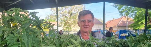 Povrtar iz Knićanina Radoslav Jocić poznati je proizvođač rasada