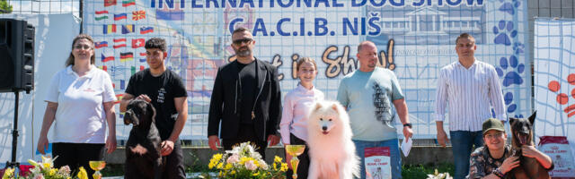 U subotu izložba pasa u parku Čair
