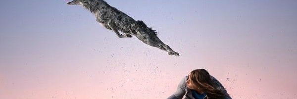 Najbolje fotografije sa Internacionalnog Foto takmičenja