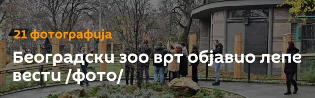 Београдски зоо врт објавио лепе вести /фото/