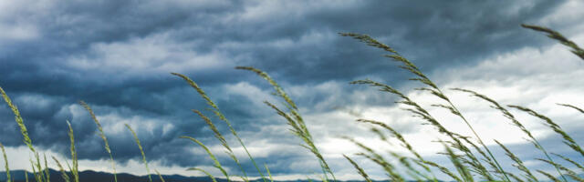 RHMZ izdao hitno upozorenje: Na udaru će biti ovi delovi Srbije