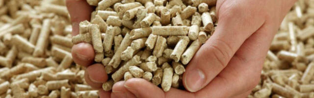 Profesor sa Šumarskog fakulteta: Pelet kupujte tokom cele godine da biste uštedeli