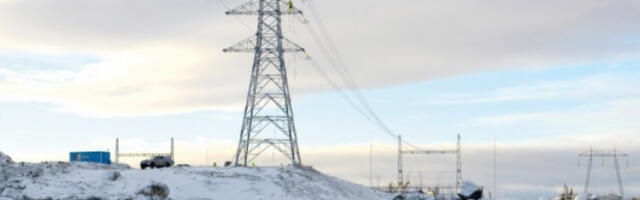 Три адвокатске канцеларије из Чачка наплатиле 300 милиона одштете за сечу дрвећа у зони далековода