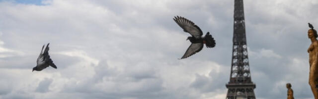 Француска осудила нападе јеменских Хута на Израел као „неодговорни чин"