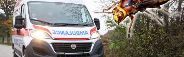 "Mislila sam da umirem" Jeziva ispovest žene koja je jedva preživela ubod stršljena: Za nekoliko sekundi nisam mogla da dišem, a onda je usledilo nešto gore