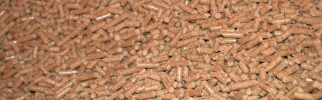 RTS: Srbijašume tvrde da im je nejasno zbog čega su stovarišta peleta prazna