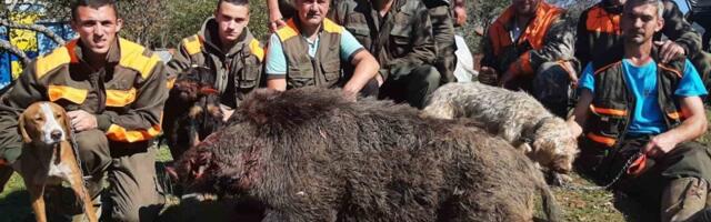 Милован уловио дивљег вепра тешког 200 килограма и понео невероватан трофеј