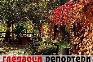 Гледаоци репортери (2. децембар 2022)