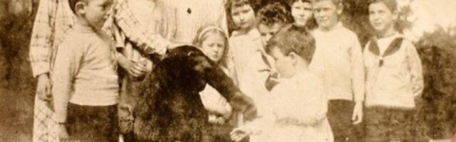 ŽENA UDOMILA GORILU I VASPITALA GA KAO SVOJE DETE - A ONDA AGONIJA: Džon Danijel prao sudove i pio jabukovaču, a kraj je bio TRAGIČAN