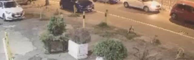 Brutalna tuča u centru Beograda (VIDEO)