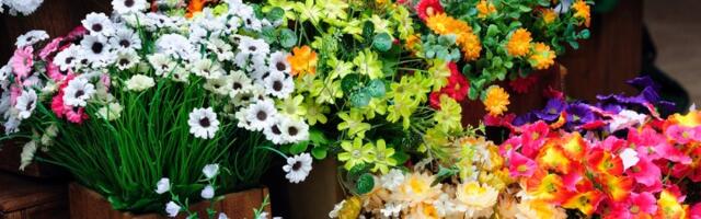 Cveće će bujati kao ludo! Samo stavite ovaj neobičan sastojak u vodu i gledajte čudo