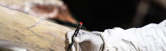 Испод парка се крила највећа римска вила до сада