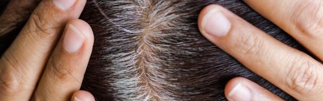 Tehnika farbanja koja sakriva sede i produžava vreme između odlazaka kod frizera: Podmlađuje i pravi je hit!