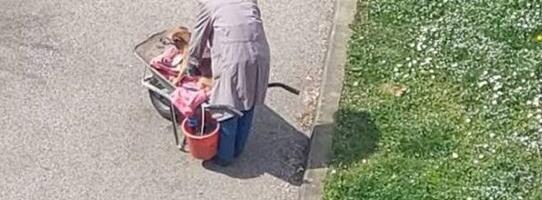 Ova fotografija je rasplakala Balkan: Komšija svaki dan u kolicima vozi bolesnog psa na livadu, razlog će vam slomiti srce