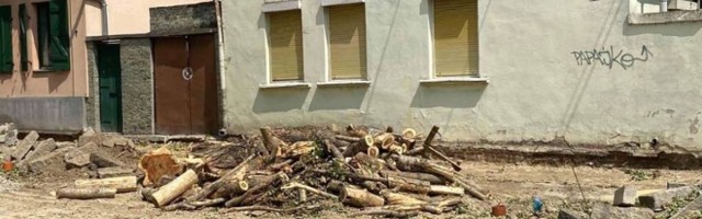 "Drvoseča Vesić iskasapio Novogradsku ulicu u Zemunu"