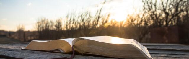 Srpske poslovice od A do Š: Kad se slože i slabi su jaki