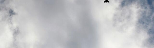 Amerika opet udarila po Jemenu: Likvidiran visoki komandant Al Kaide