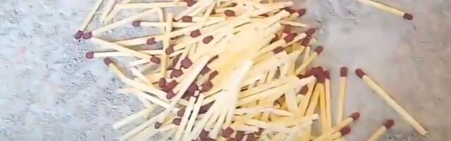 PAZITE SAMO OVO! Genijalan trik sa šibicama spasiće svaku biljku koja vene - SVAKA DOMAĆICA BI TREBALO DA ZNA CAKU