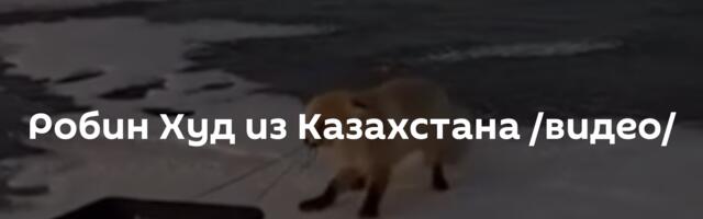 Робин Худ из Казахстана /видео/