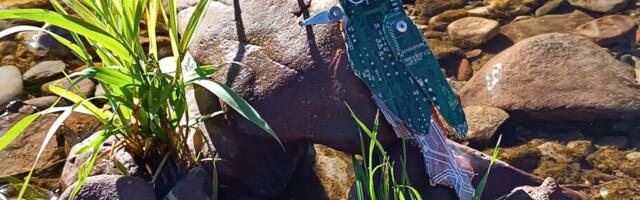Učenica iz Niša prva na republičkom takmičenju, rad napravila od elektronskog otpada