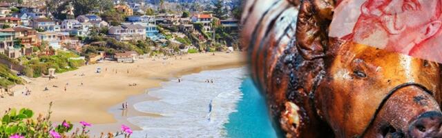 Nebeski narod od malih nogu! Pogledajte kako se deca danas provode na ekskurziji (VIDEO)