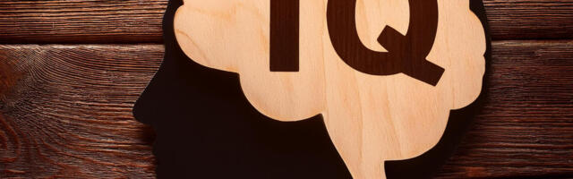 U „najpametnijoj zemlji na svetu“ prosečni IQ stanovnika je 99,24