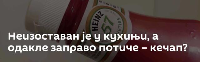 Неизоставан је у кухињи, а одакле заправо потиче – кечап?