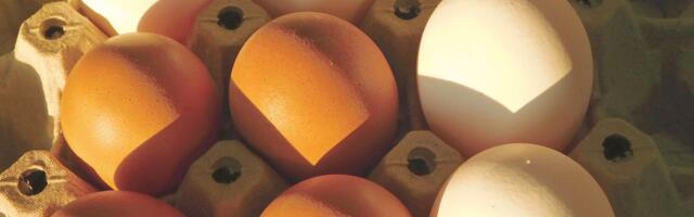 Koliko koštaju jaja na pijacama i u marketima uoči Uskrsa? Ovo su cene