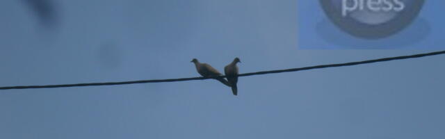 Ko sve neće imati struju u četvrtak, pogledajte