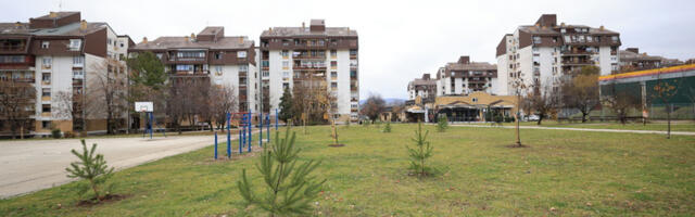 Kragujevac, zeleni grad : Posađeno 110 sadnica u Centralnoj radionici (FOTO)