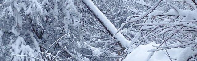 Macut: Sutra sednica Republičkog štaba za vanredne situacije