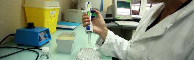 UŽAS NA GRANICI SA SRBIJOM! Potvrđena pojava antraksa - Situacija je opasna