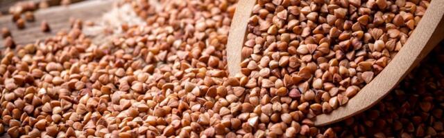 Povratak na srpske njive: Ova žitarica osvaja tržište - savršena za hleb i pite, a raste i na posnoj zemlji