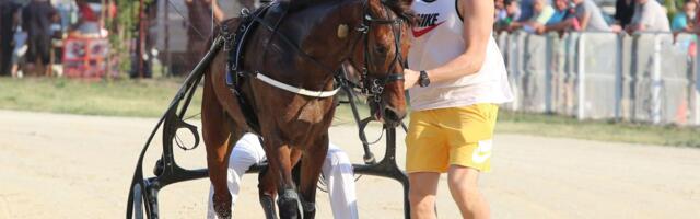 Ameri oduševljeni Jokićem, ovog puta ne zbog košarke - već zbog konja: "Nikoli je to prva ljubav"