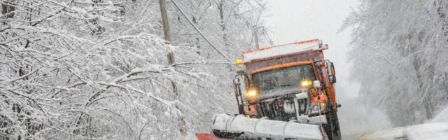 U pripravnosti 63 vozila "Beograd puta"